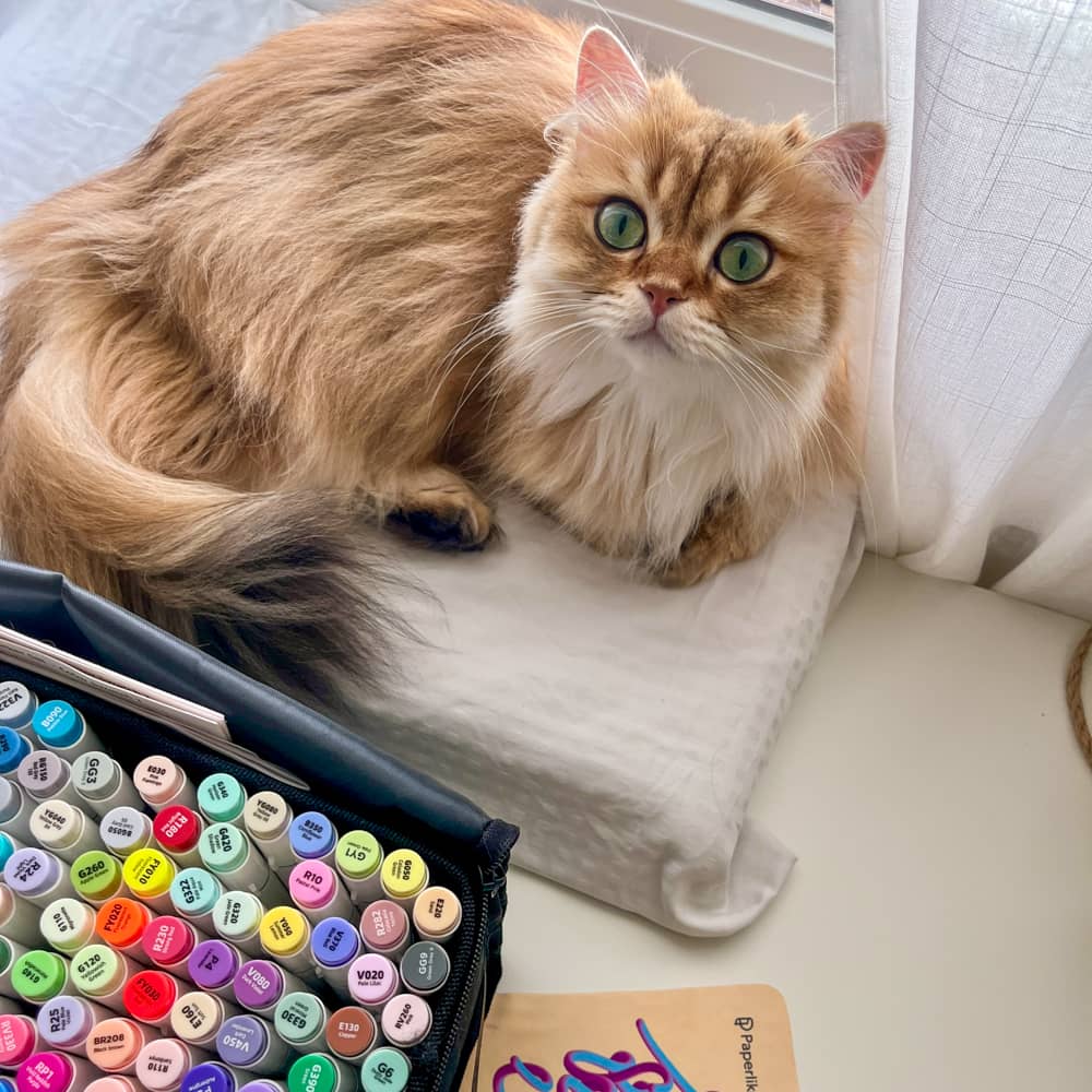 Kiwi the Cat - Coloring Pages by Poki and Kiwi