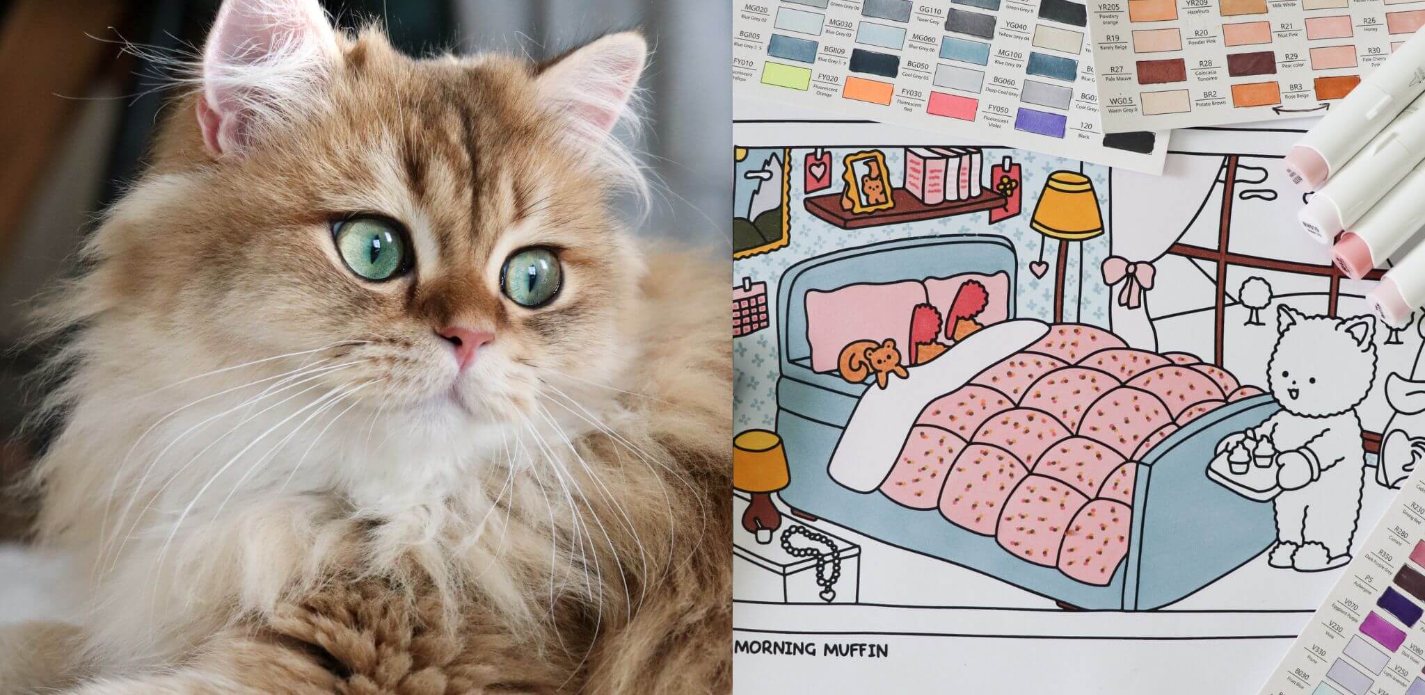 Poki-and-Kiwi-Cute-Cat-Coloring-Pages-Sheets-Homepage-03